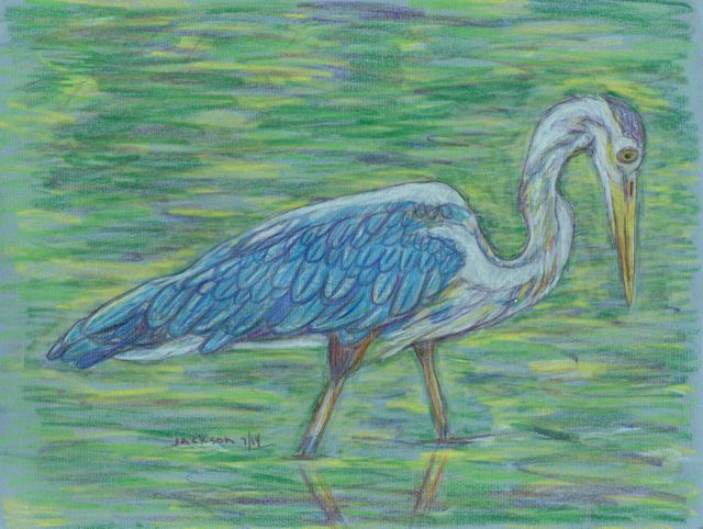 greatblue_001
