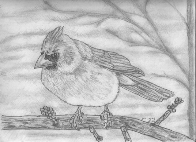 cardinal