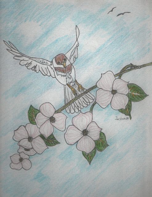 chickadee_dogwood