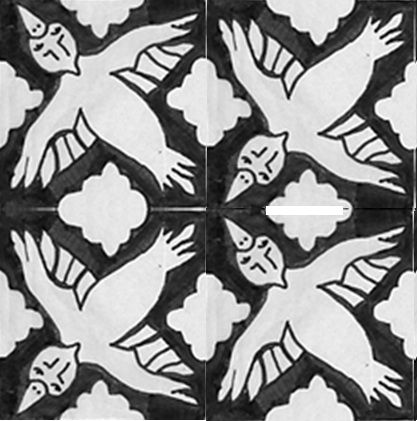 whitebird
