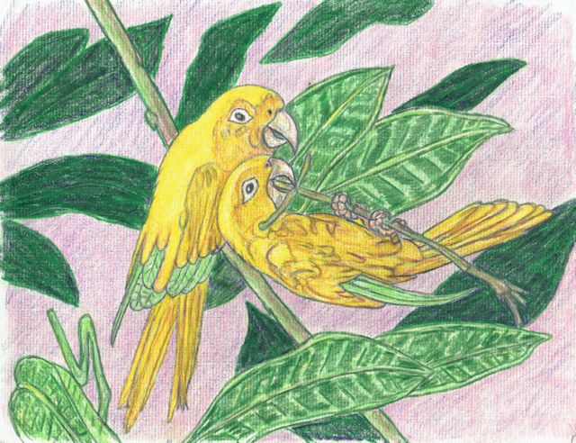 lovebirds002